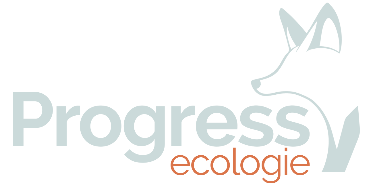 / Progress Ecologie en Vormgeving 